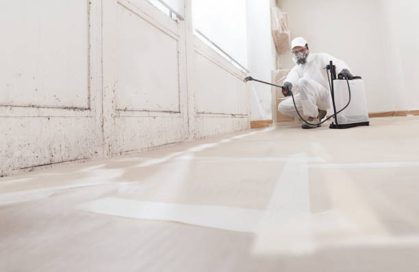 24/7 Emergency Mold Removal experts in Clifton, VA